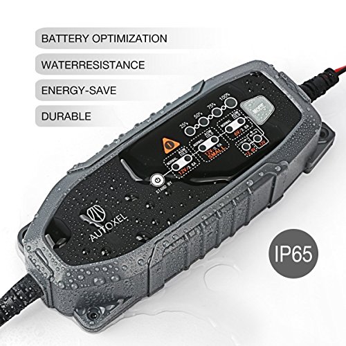 Cargador de Batería para Coche, AUTOXEL 3,8 A 6V/12V 8 Modos Inteligente Cargador/Mantenedor de Batería de Automóvil para Vehículos para LiFePO4 & Batería de Plomo ácido de Mojado, MF, VRLA, AGM y Gel