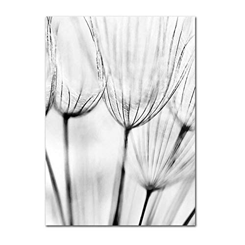 Carteles de pintura en blanco y negro sobre lienzo e impresión de cuadros de diente de león para decoración de dormitorio 40x50cm con marco gris