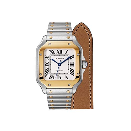 Cartier Santos Automático Silvered Opaline Dial Acero y 18kt Oro Amarillo Reloj de los Hombres W2SA0006