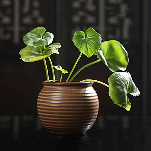 Cerámica la Vendimia Ceniceros florero,Creativo Profundo Agujero en Forma de Rosca de la Botella Caso a Prueba de Viento Cenicero, Cenicero Titular for el Fumador,Cigarrillo Cenicero Inter o al Aire