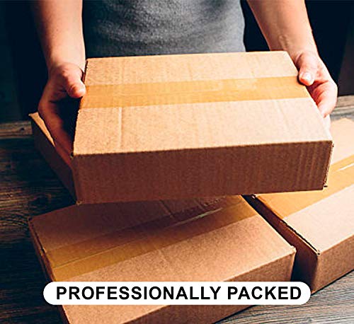 Cobra Kai Karate Kid Snake Golden Blason_KK017443 Hoodie Capucha Suéter Novelty Design Gift Unisex Men's Women's Youth - Medium - Black