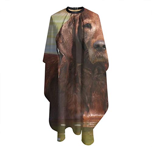 Cocker Spaniel Dog River Wet Ears capa de peluquería profesional, delantal de corte de pelo de poliéster, peluquería, peluqueros y barberos para hombres y mujeres, 55 x 66 pulgadas
