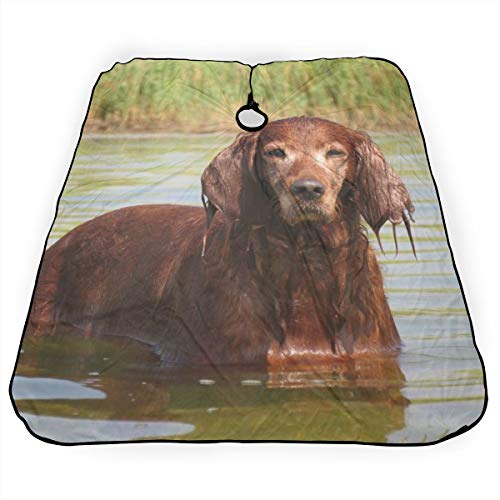 Cocker Spaniel Dog River Wet Ears capa de peluquería profesional, delantal de corte de pelo de poliéster, peluquería, peluqueros y barberos para hombres y mujeres, 55 x 66 pulgadas