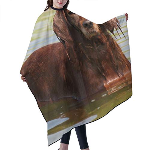 Cocker Spaniel Dog River Wet Ears capa de peluquería profesional, delantal de corte de pelo de poliéster, peluquería, peluqueros y barberos para hombres y mujeres, 55 x 66 pulgadas