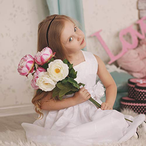 CODIRATO 12 PCS Diadema de Plástico, Diadema Plana sin Dientes Cintas para el Cabello para Niña y Mujer (Negro)