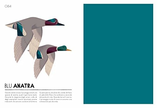 Colorama. Il mio campionario cromatico