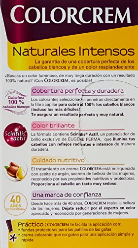 COLORCREM tinte Rubio Oscuro Nº 60 caja 1 ud