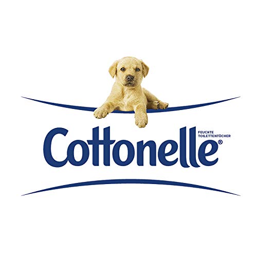 Cottonelle Mein SPA - Papel higiénico húmedo (té verde y jazmín, 12 x 44 unidades)