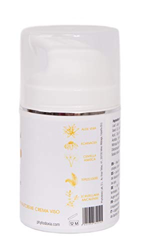 Crema Hidratante Facial Antiarrugas de Acido Hialuronico Puro Vitamina A (Retinol) C E | Reafirmante Antienvejecimiento | Aloe Vera Centella Asiatica | Aceite de Argan Jojoba Manteca de Karite