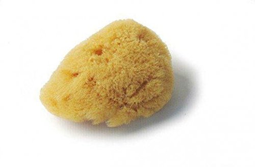 CROLL & DENECKE L050 - Esponja Natural del mar Mediterráneo (poro Fino, para Cuidado Facial, 5 cm)