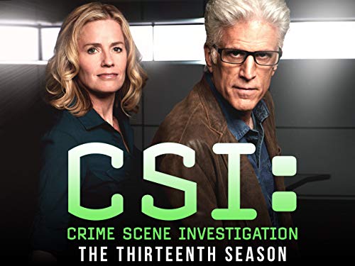 CSI: Crime Scene Investigation - Season 13