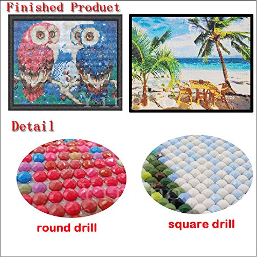 Cuadrado completo/redondo 5D DIY Diamante bordado Alicia en el país de las maravillas Diamante Pintura Punto de cruz Rhinestone Mosaico decoración