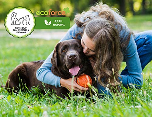 CULTIVERS Force-Mar Eco 1 Kg. Abono Orgánico Ecológico 100% Algas Marinas polvo soluble. Extracto de algas 100%. Fertilizante Bioactivador a base de extractos de Ascophyllum nodosum.