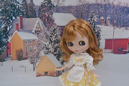 CUTEBEE 1/6 BJD Doll is Similar to Neo Blythe, 4-Color Changing Eyes Matte Face and Ball Jointed Body Dolls, 12 Inch Customized Dolls Can Changed Makeup and Dress DIY