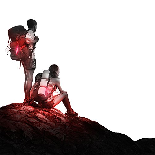 Cyalume 9R-3N8P-F55Q - Barras de luz rojo SnapLight Luces químicas 15 cm, 6 Inch Lightstick super brillante con duración de 12 horas (Caja de 10)