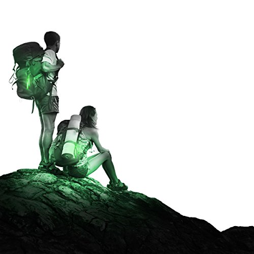 Cyalume KZ-IF8W-ILXA - Barras de luz verde SnapLight Luces químicas 15 cm, 6 Inch Lightstick super brillante con duración de 12 horas (Caja de 10)