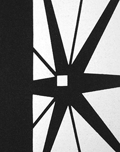 DC Comics Flash TV Star Laboratories Men's Hoodie