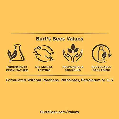 De Burt abejas melocotón y corteza de sauce Deep Pore Scrub (exfoliante para la limpieza profunda de los poros con el melocotón y la corteza de sauce), 110g