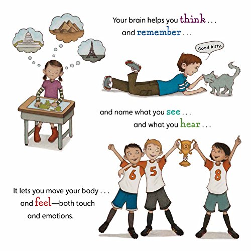 Deak, J: Your Fantastic Elastic Brain Stretch It, Shape It