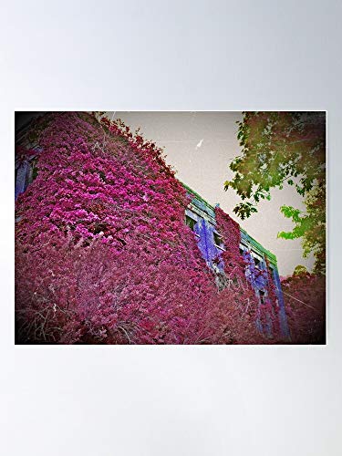 Decay Abandoned Count Wv Jenkinjones Urban Mcdowell Impresionantes carteles para la decoración de la habitación impresos con la última tecnología moderna sobre papel semibrillante