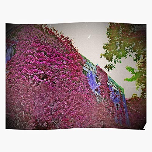 Decay Abandoned Count Wv Jenkinjones Urban Mcdowell Impresionantes carteles para la decoración de la habitación impresos con la última tecnología moderna sobre papel semibrillante