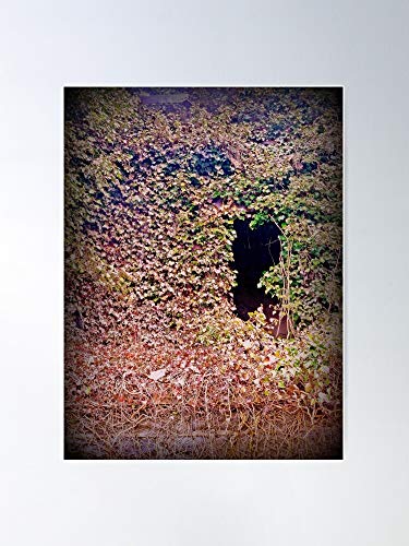 Decay Abandoned Wv Jenkinjones County Urban Mcdowell Coal Ivy Impresionantes carteles para la decoración de la habitación impresos con la última tecnología moderna sobre papel semibrillante