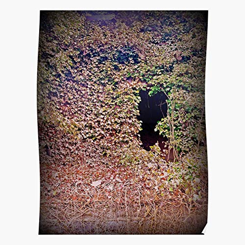 Decay Abandoned Wv Jenkinjones County Urban Mcdowell Coal Ivy Impresionantes carteles para la decoración de la habitación impresos con la última tecnología moderna sobre papel semibrillante