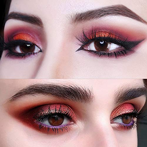 DE'LANCI Paleta de sombras de ojos, 12 colores de maquillaje Brillo mate de alta duración Brillo de larga duración Kit de maquillaje en polvo para las sombras de ojos