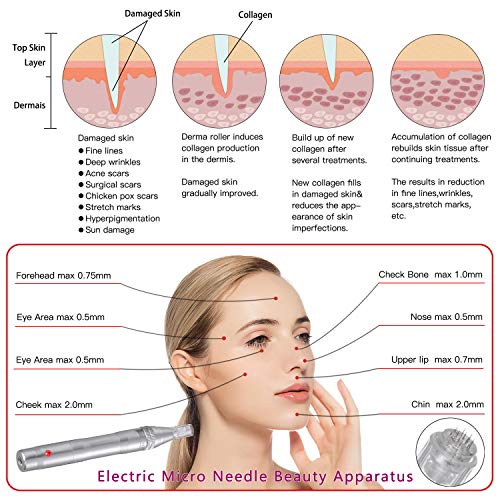Dermapen Profesional Electrico Titanium Cartuchos Arrugas Estrías Cicatriz de acne Perdida de cabello Inalámbrico Derma Pen 0.25-2.5mm para Facial & Body cuidado de la
