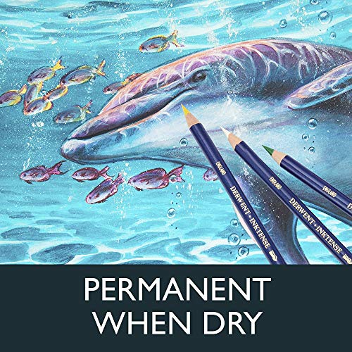 Derwent Inktense 36 - Lápices de tinta soluble en agua (36 colores, en estuche de metal)
