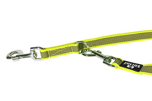 Desconocido Julius-K9 Color & Gray Correa De Perro del Estupendo-Apretón, Ajustable, 2.2 M, Neón-Gris, 20 mm x 2,2 m