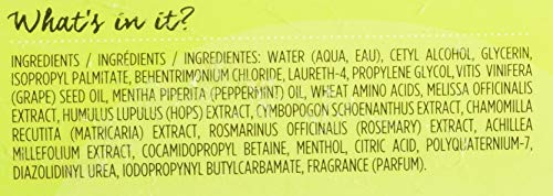 DevaCurl Devacurl No-Poo Original Cleanser Tapones para los oídos 5 Centimeters Negro (Black)