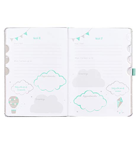 Diario de embarazo Baby B - color plata, empieza a las 8 semanas