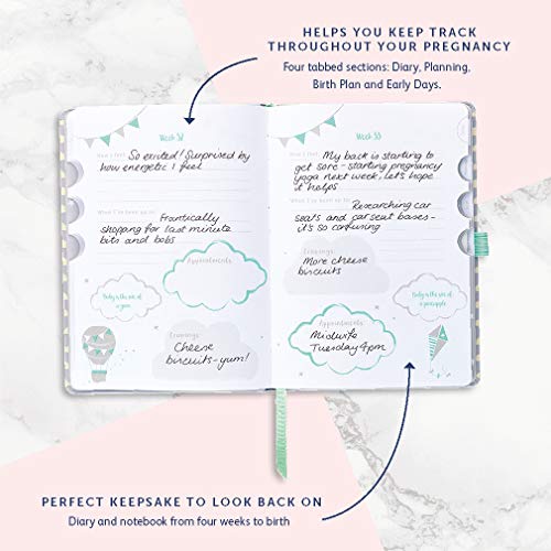 Diario de embarazo Baby B - color plata, empieza a las 8 semanas