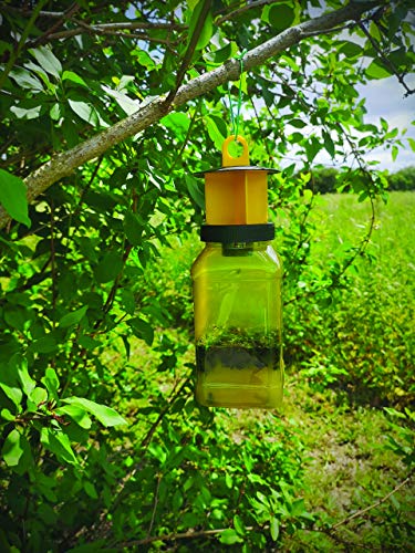 Dicoal STV336 Trampa Exterior Anti Moscas con Cebo, Amarillo