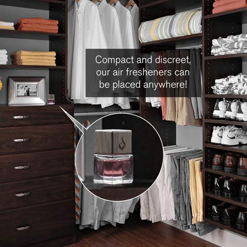 Difusor para Carro o para el hogar - Aceites Esenciales con aromatica de Patchouli, de Jazmin y de bergamota. Difusor de Aromas de Grande duración para Carro o para el hogar - White Patchouli for Car