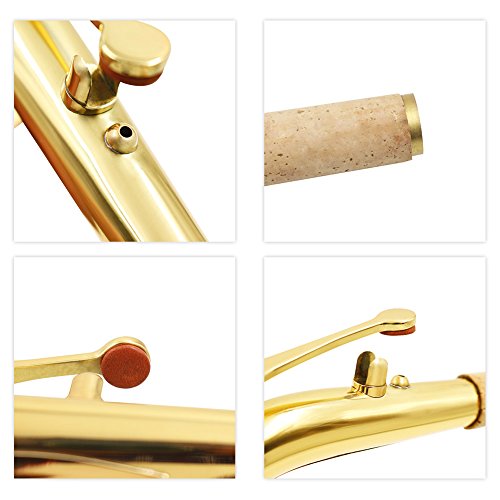 Dilwe Saxofón Alto Sax Bend Neck Material de Latón 24,5 mm con Cork Cuidado Grease Accesorio de Saxofones
