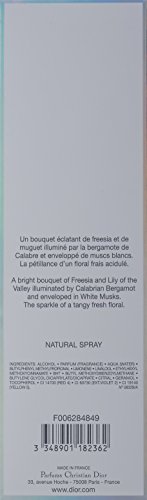 DIOR ADDICT EAU FRAICHE EDT 100 ML