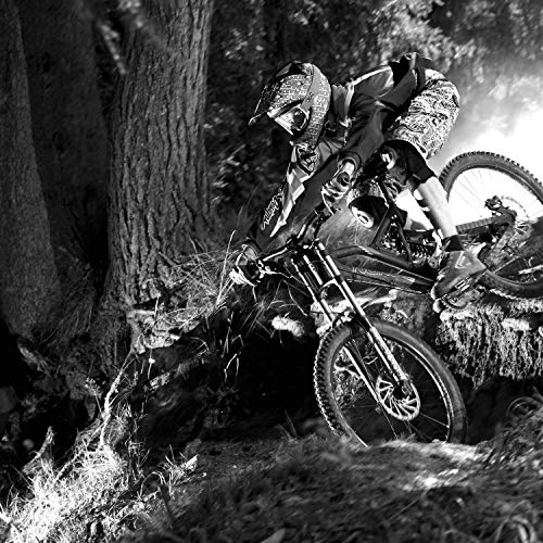 Disco de freno de bicicleta de Miles Racing, de acero inoxidable para usar con pastillas de freno de disco orgánico, semimetálico y sinterizado, tamaño 160 mm, 0.29