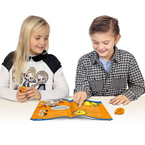 Dr. Steve Hunters ed516 K – Dig and Discover – Amber Treasures