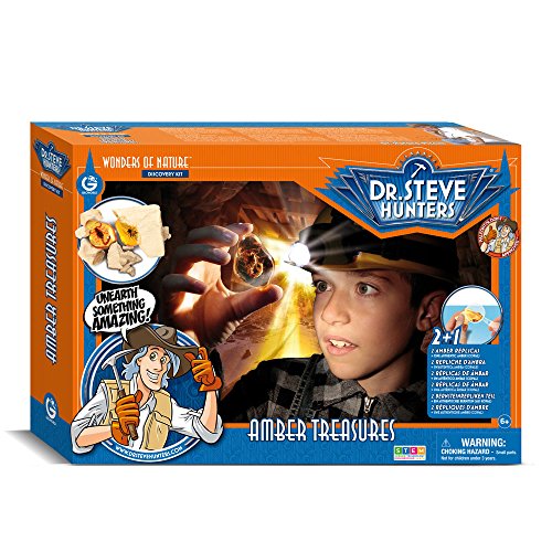 Dr. Steve Hunters ed516 K – Dig and Discover – Amber Treasures