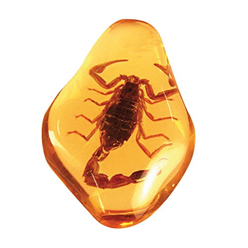 Dr. Steve Hunters ed516 K – Dig and Discover – Amber Treasures