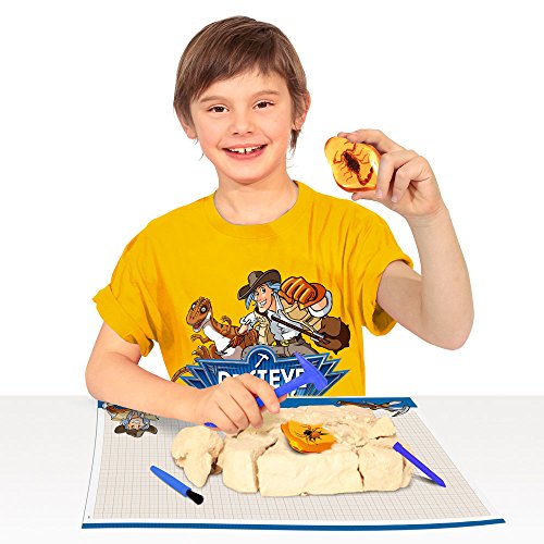 Dr. Steve Hunters ed516 K – Dig and Discover – Amber Treasures