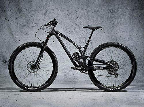 DYEDBRO - Kit VINILOS PROTECCIÓN Cuadro Ride OR Die White - 150-77KRODW - Blanco