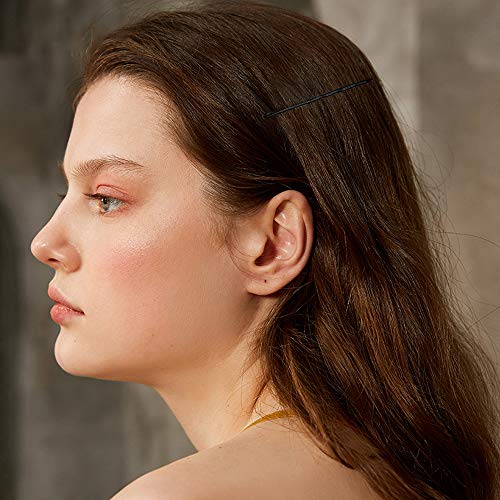 Dylan-EU 312 Piezas Horquillas de Clips de Pelo Pasador Accesorios para Cabello Mini Barrettes, Negro