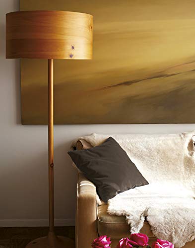 Dylon Máquina Dye Pod 350 g, Color marrón