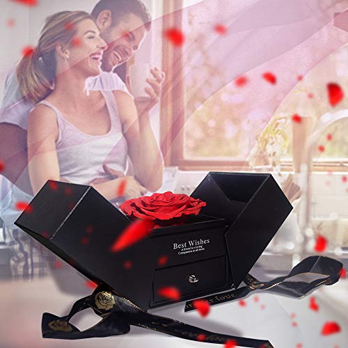 E-MANIS La Bella y la Bestia Rose - Paquete de regalo de joyas de rosa conservadas a mano, flores nunca colgadas, regalos para mujeres, San Valentín, día de la madre, Navidad rosa éterna