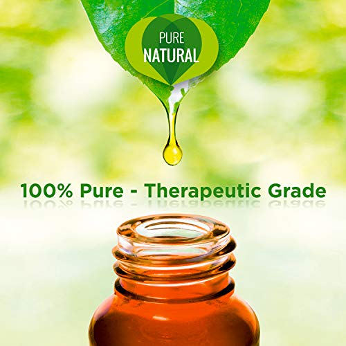 Eco Pure 's pura Aceites Set Top 6 | Fragancias para difusor, Masaje y aromaterapia, 100% Natural pura (Lavanda, Té Algodón, eucalipto, menta, Süße Naranja, limón) regalo de Juego