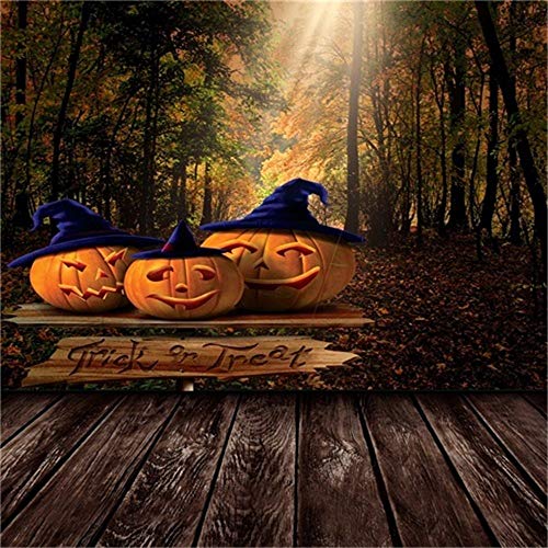 EdCott 5x5ft Happy Halloween Telón de Fondo Mueca Calabaza Bruja Sombrero Trick or Treat Scary Fall Tree Otoño Forest Park Photo Studio Props Festival Kid Party Decor Vinyl Banner