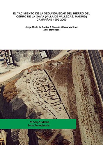 El Cerro de la Gavia (Villa de Vallecas, Madrid). Segunda Edad del Hierro Camapañas 1999-2000